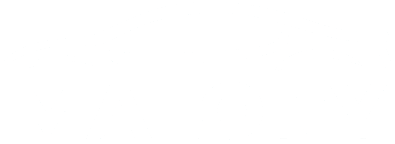 Malony – Pronájem vozidel, dodávek a minibusu v Ostravě